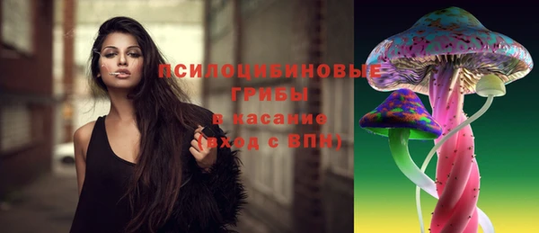МДПВ Медногорск