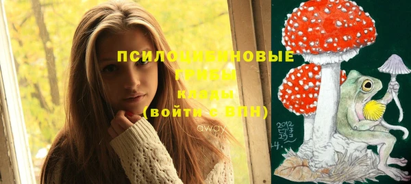 мет Мегион