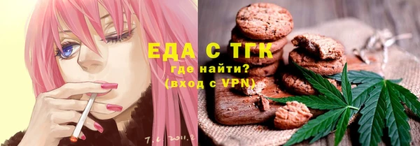 спиды Ельня