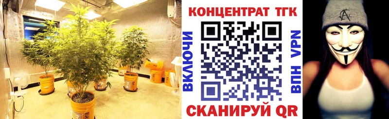 Дистиллят ТГК вейп darknet формула Павлово где найти наркотики