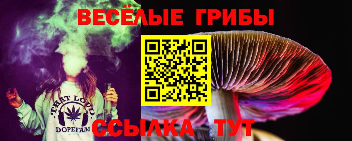 Псилоцибиновые грибы мицелий  Галлюциногенные грибы ЛСД  Вход с VPN  Павлово 
