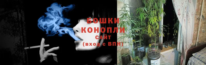 как найти   blacksprut как войти  маркетплейс наркотические препараты  Павлово  Каннабис план 